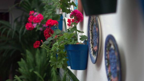 Concurso de Patios castro del rio