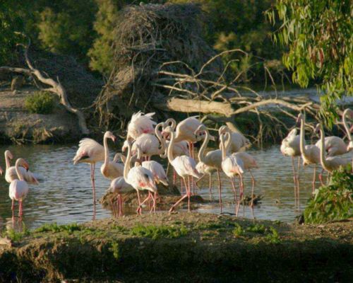 Cañada de los Pájaros la puebla del rio