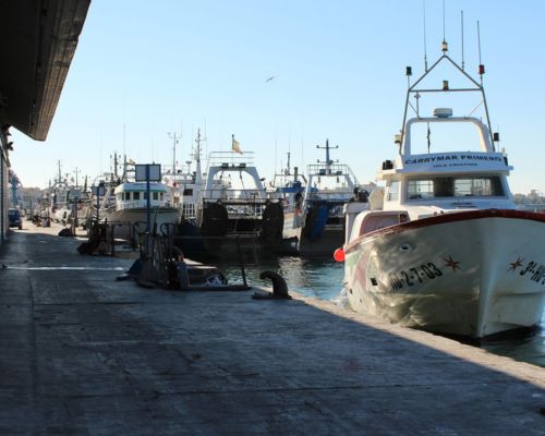 El puerto y la lonja isla cristina