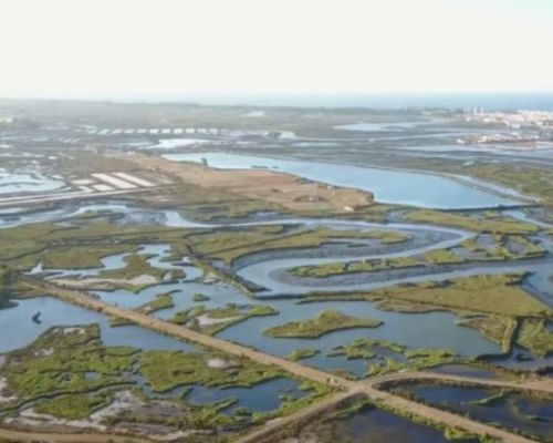 Marismas de Isla Cristina