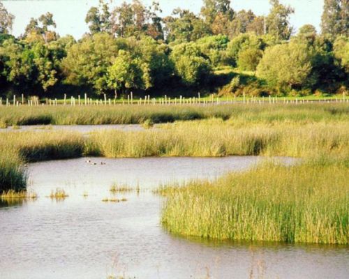 doñana la puebla del rio