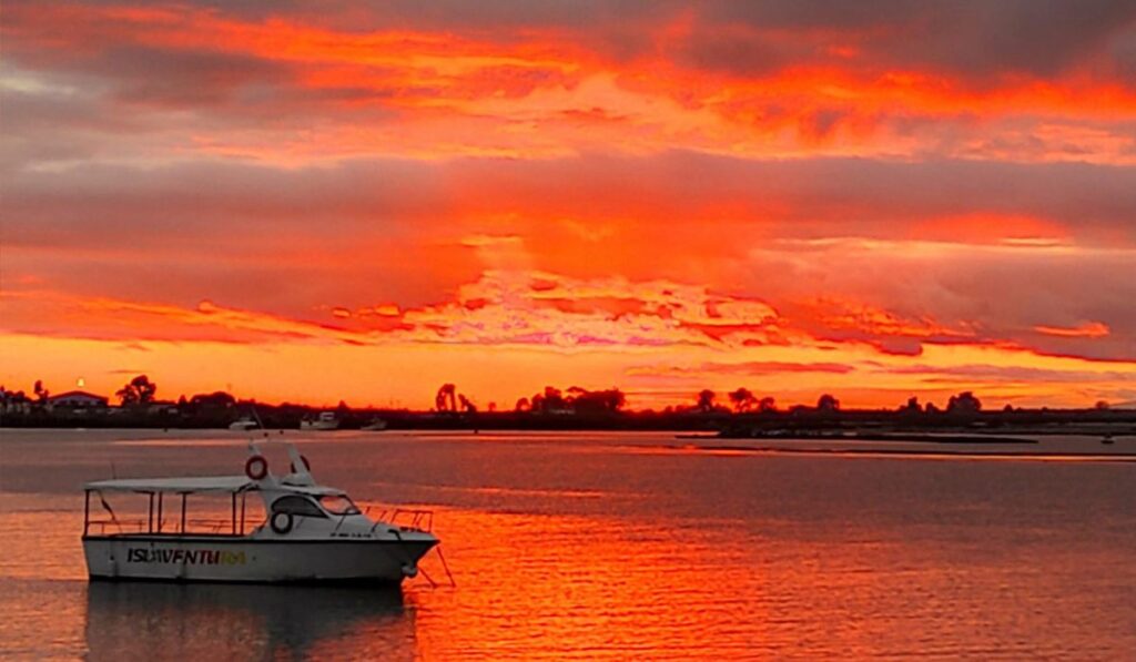 ver flamencos en barco isla cristina